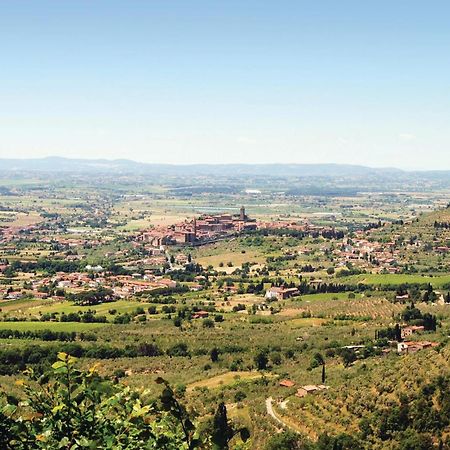 Il Marinocchio Di Malatesti Arezzo Ngoại thất bức ảnh
